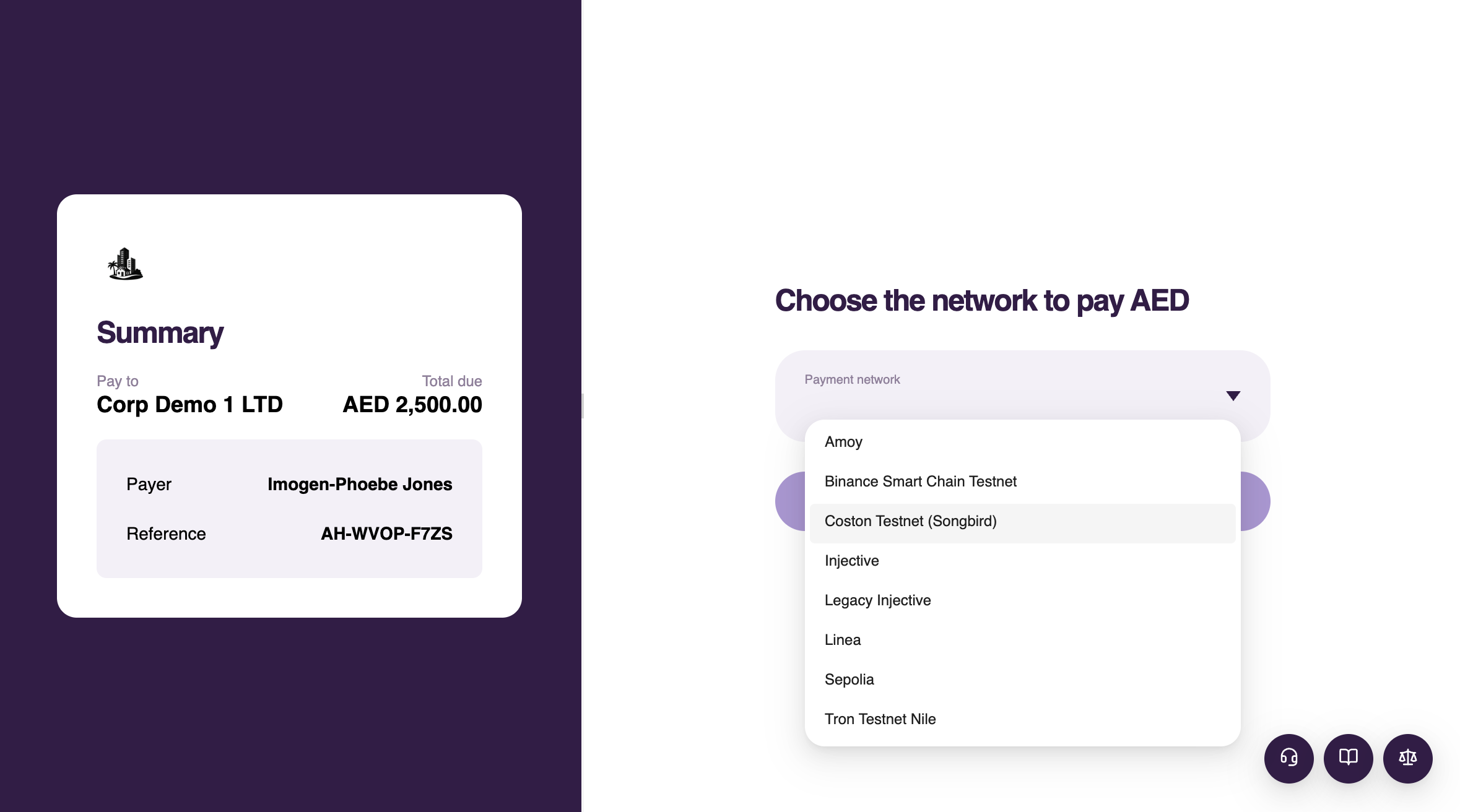 Selecting the payment network